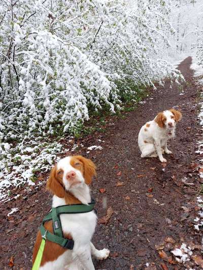 Lieblings "nervige Sprüche"-Beitrag-Bild