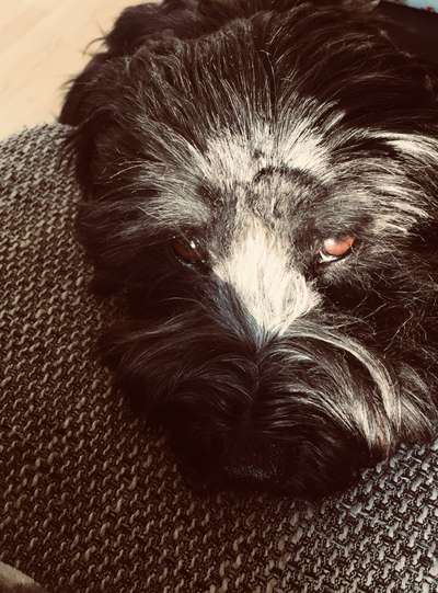 Fotochallange Nr. 57     PORTRÄT.   Beendet!!!!!!!!-Beitrag-Bild