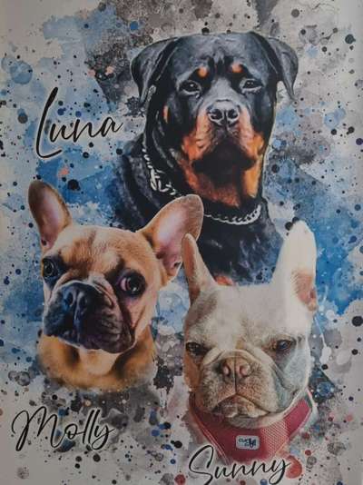 Reinrassige Hunde?-Beitrag-Bild