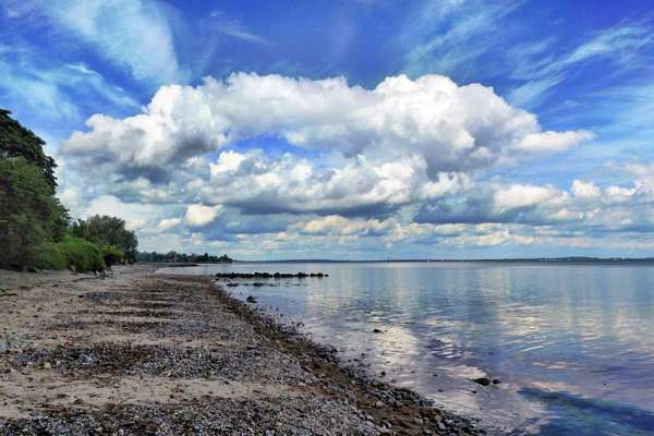 Hundeauslaufgebiet-Norgaardholz-Bild