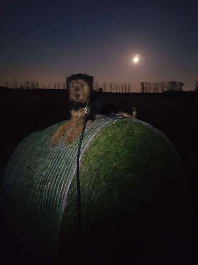 Fotochallenge Nr. 67: Euer Lieblingsbild-Beitrag-Bild