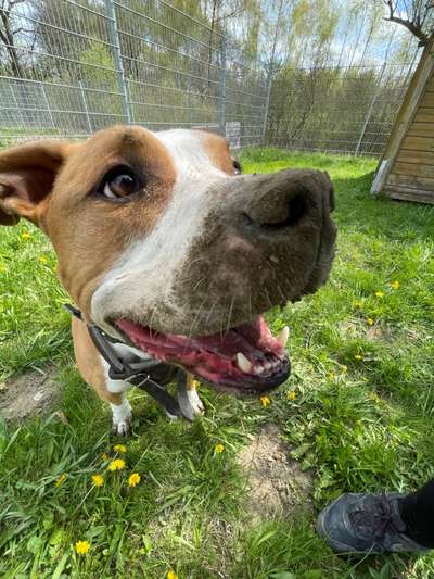 Fotochallange 84-Beitrag-Bild