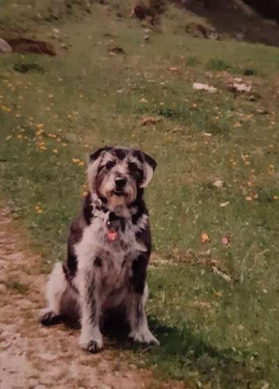 Fotochallenge Nr. 56 - geliebte Senioren-Beitrag-Bild