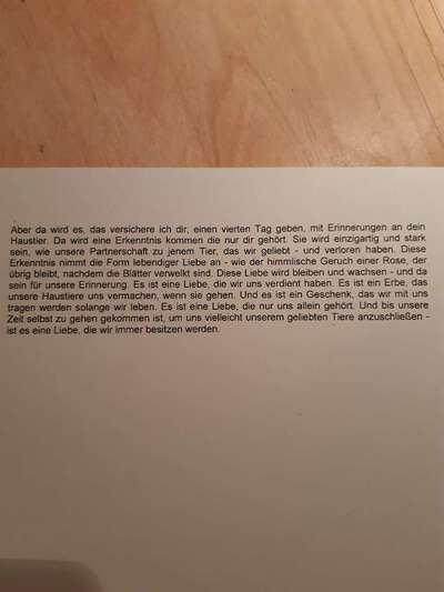 Wann ist es Zeit, sich zu verabschieden?-Beitrag-Bild