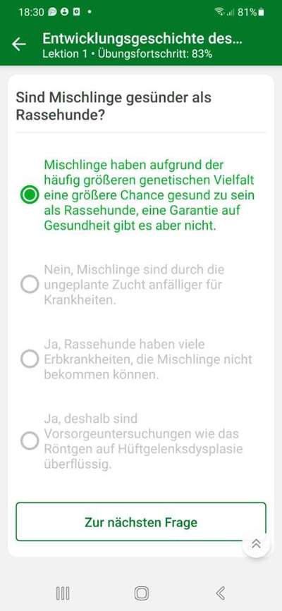 Wieso die Zucht der richtige Weg für mich war?-Beitrag-Bild