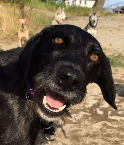 Fotochallange Nr. 57     PORTRÄT.   Beendet!!!!!!!!-Beitrag-Bild