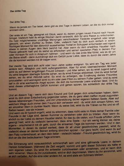 Wann ist es Zeit, sich zu verabschieden?-Beitrag-Bild