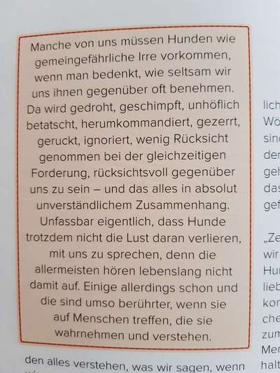 Wie sehen eure Gassirunden aus?-Beitrag-Bild