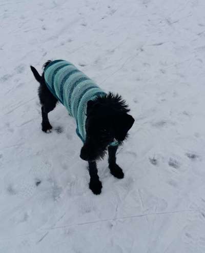 Pullis, Jacken, Hütte und alles sonstiges-Beitrag-Bild