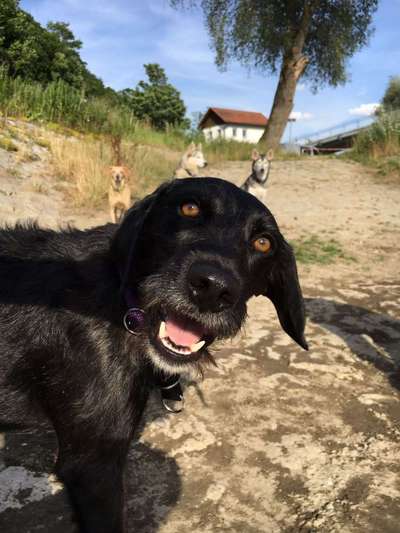 Lieblingsbild :D-Beitrag-Bild