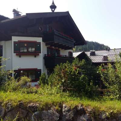 Hotel Urlaub mit Hund in Bayern/Österreich-Beitrag-Bild