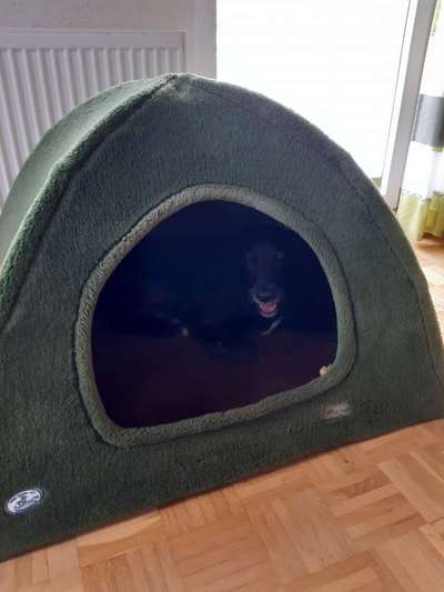 Box/Kennel gegen Aufdrehn beim Welpen ?-Beitrag-Bild