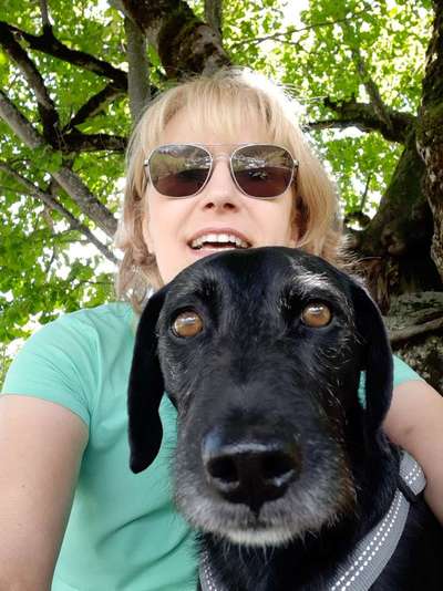 Hundmenschfotos-Beitrag-Bild