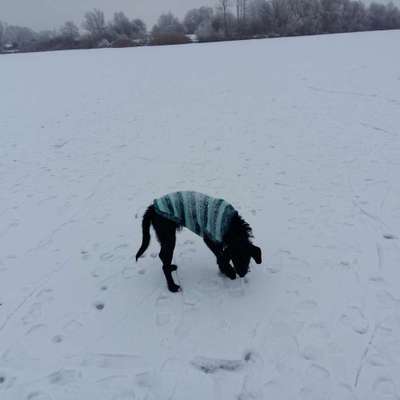 Pullis, Jacken, Hütte und alles sonstiges-Beitrag-Bild