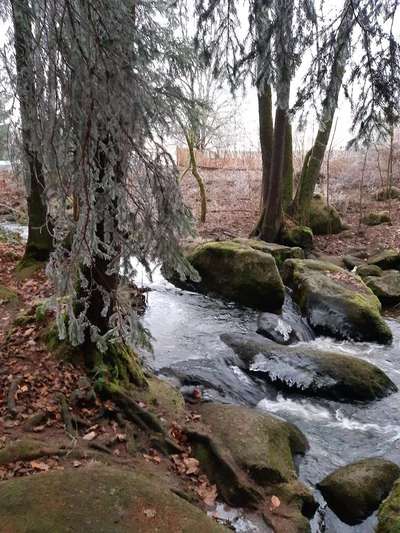 Hundeauslaufgebiet-Naturschutzgebiet Hölle-Bild