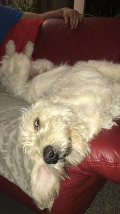 Die unbequemsten und lustigsten Schlafpositionen-Beitrag-Bild