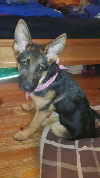 Lieblingsbild :D-Beitrag-Bild