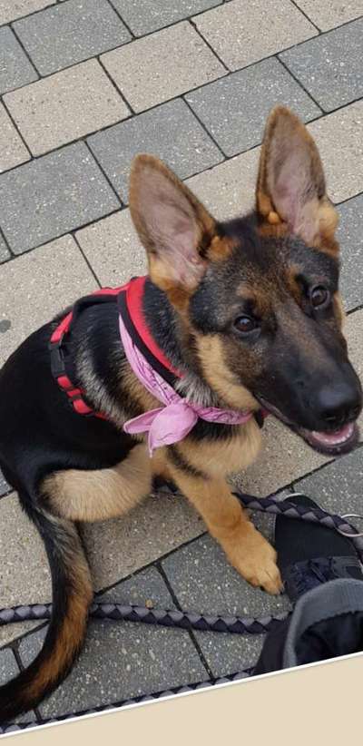 Blick fürs Detail!-Beitrag-Bild