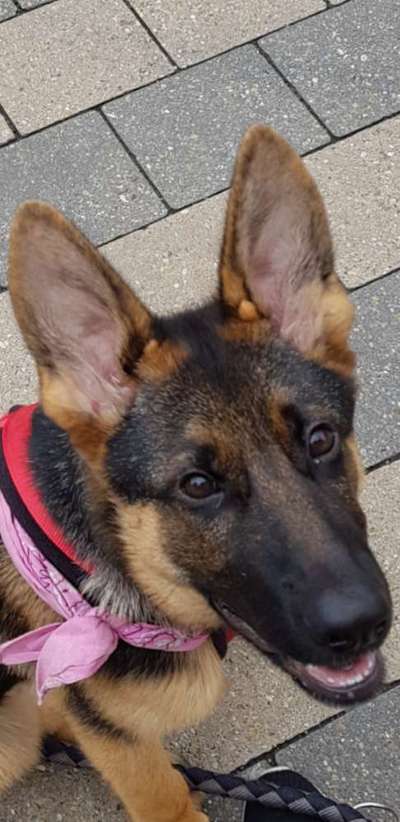 Blick fürs Detail!-Beitrag-Bild