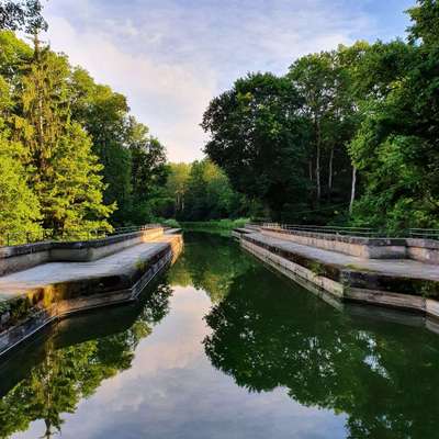 Hundetreffen-Gassi am LDM Kanal-Bild