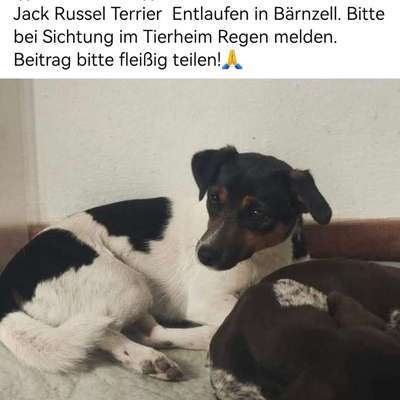 Suchmeldung-Emma-Bild