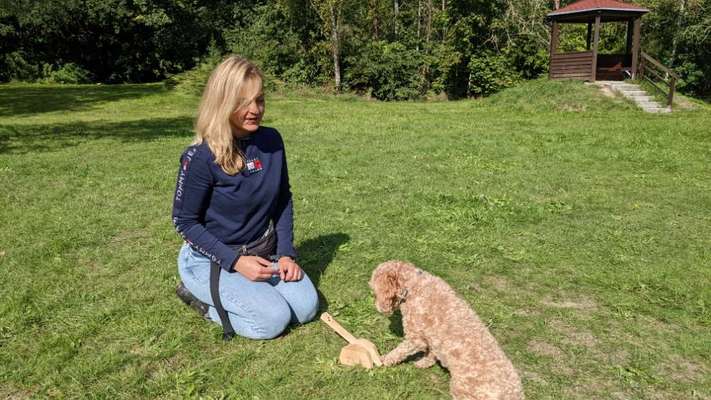 Hundetreffen-Reichenbachbrücke Isar Gassirunde kleine bis mittelgroße 🐶-Bild