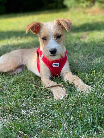 DNA Test übee Herkunft-Beitrag-Bild