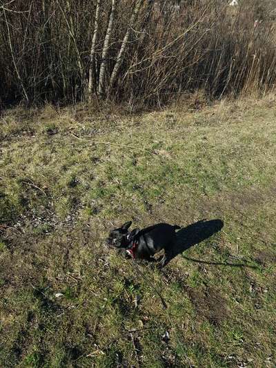 Lustige Grimassen & verrückte Posen-Beitrag-Bild