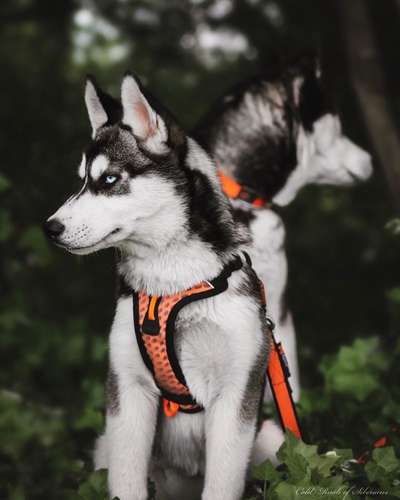 Sie werden so schnell erwachsen ...-Beitrag-Bild