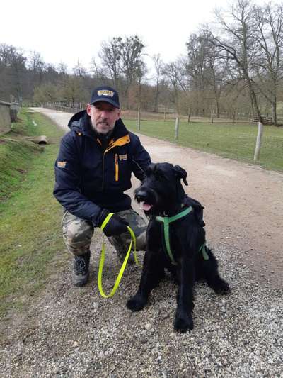 Wo sind die Riesenschnauzer?-Beitrag-Bild