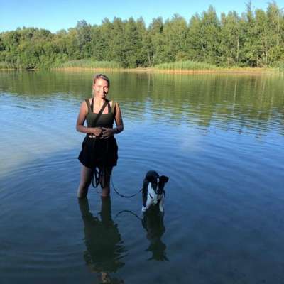 Hundetreffen-Toby sucht Spielgefährten