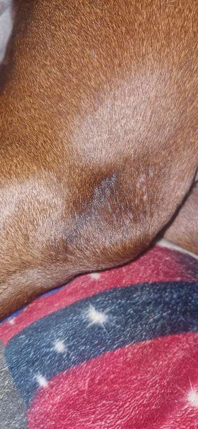 Hautausschlag-Beitrag-Bild