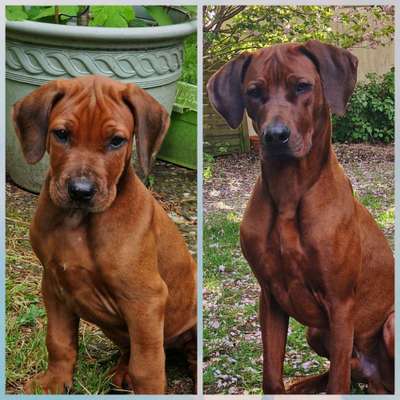 Ach, wie schnell die Zeit vergeht-Beitrag-Bild