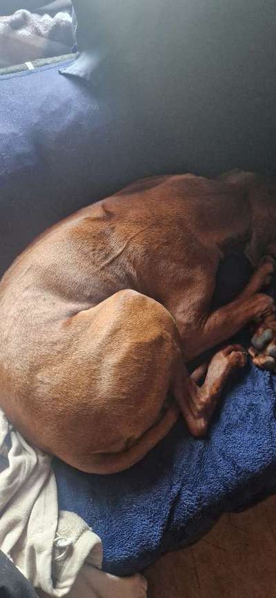 Überempfindliche Haut oder doch Umweltallergie??-Beitrag-Bild