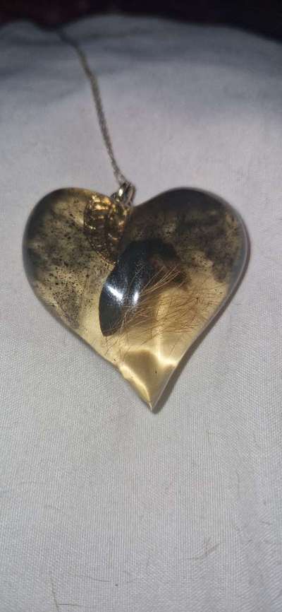 Abgerissene Kralle-Beitrag-Bild