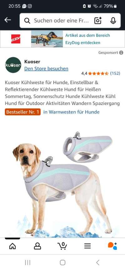 Kühlung bei Hitze-Beitrag-Bild
