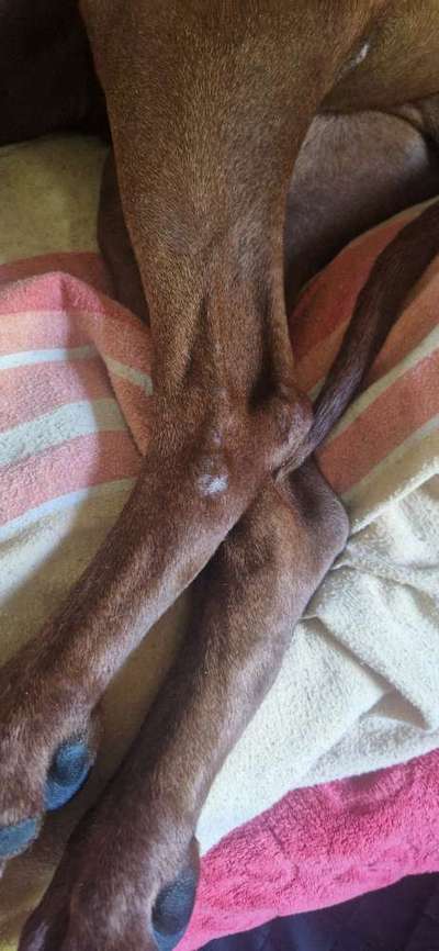 Überempfindliche Haut oder doch Umweltallergie??-Beitrag-Bild