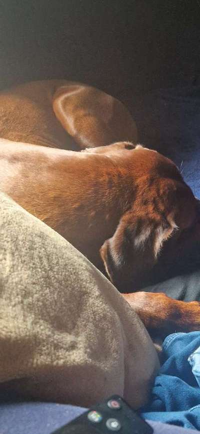 Beulen auf dem Rücken-Beitrag-Bild