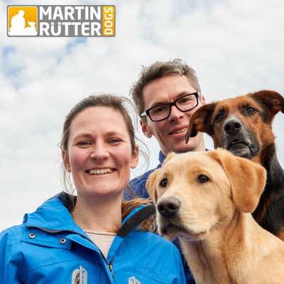 Hundeschulen-Martin Rütter DOGS Bielefeld/Gütersloh-Bild