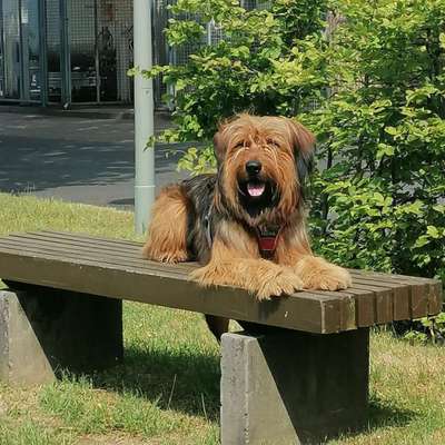 Wo sind die Wäller?-Beitrag-Bild