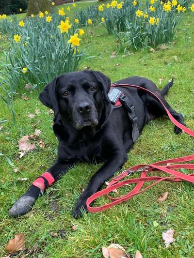 11. Farben Foto Challenge Rot-Beitrag-Bild