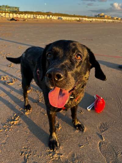 Handyfoto challenge Nr. 13: Waschlappen raus!-Beitrag-Bild