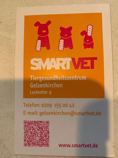 Hund Durchfall/Erbrechen mit rote Punkte-Beitrag-Bild