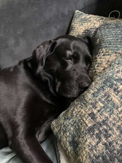 Foto Challenge Nr. 134-Beitrag-Bild