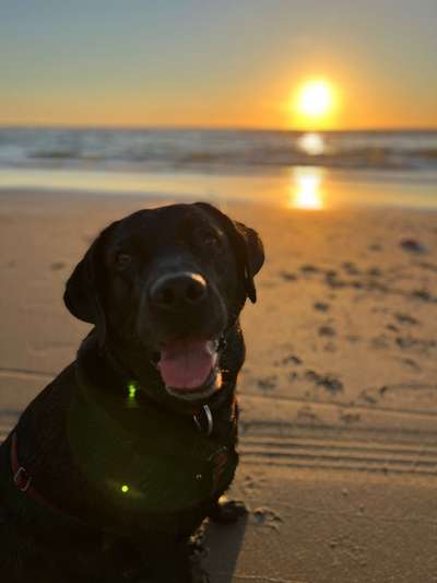 18. Farben Fotochallenge: Sonnenuntergang-Beitrag-Bild