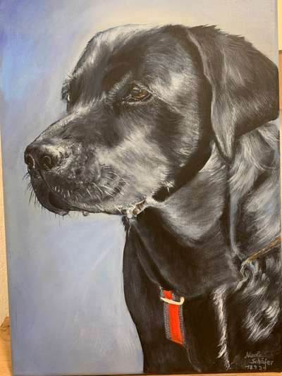 Hunde Porträt (Portrait) Galerie....-Beitrag-Bild