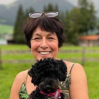 Hundetreffen-Gassirunde mit kleinen Hunden