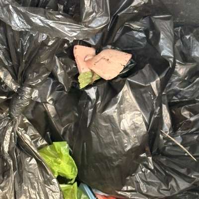 Giftköder-Vermeintlich Giftköder-Bild