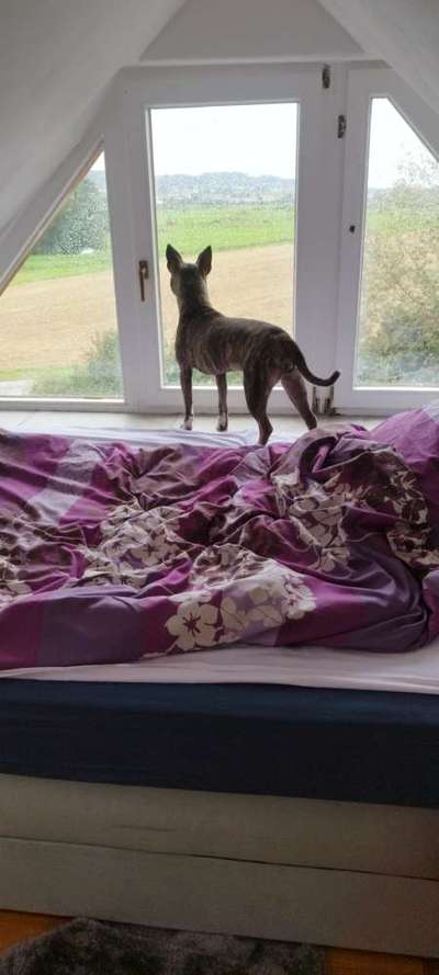 65. Handy Foto Challange                     "Ich kann nicht ohne..."-Beitrag-Bild