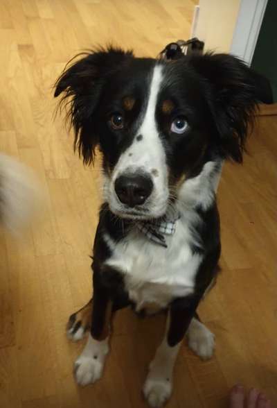 Handy-Foto Challange Nr. 10-Beitrag-Bild